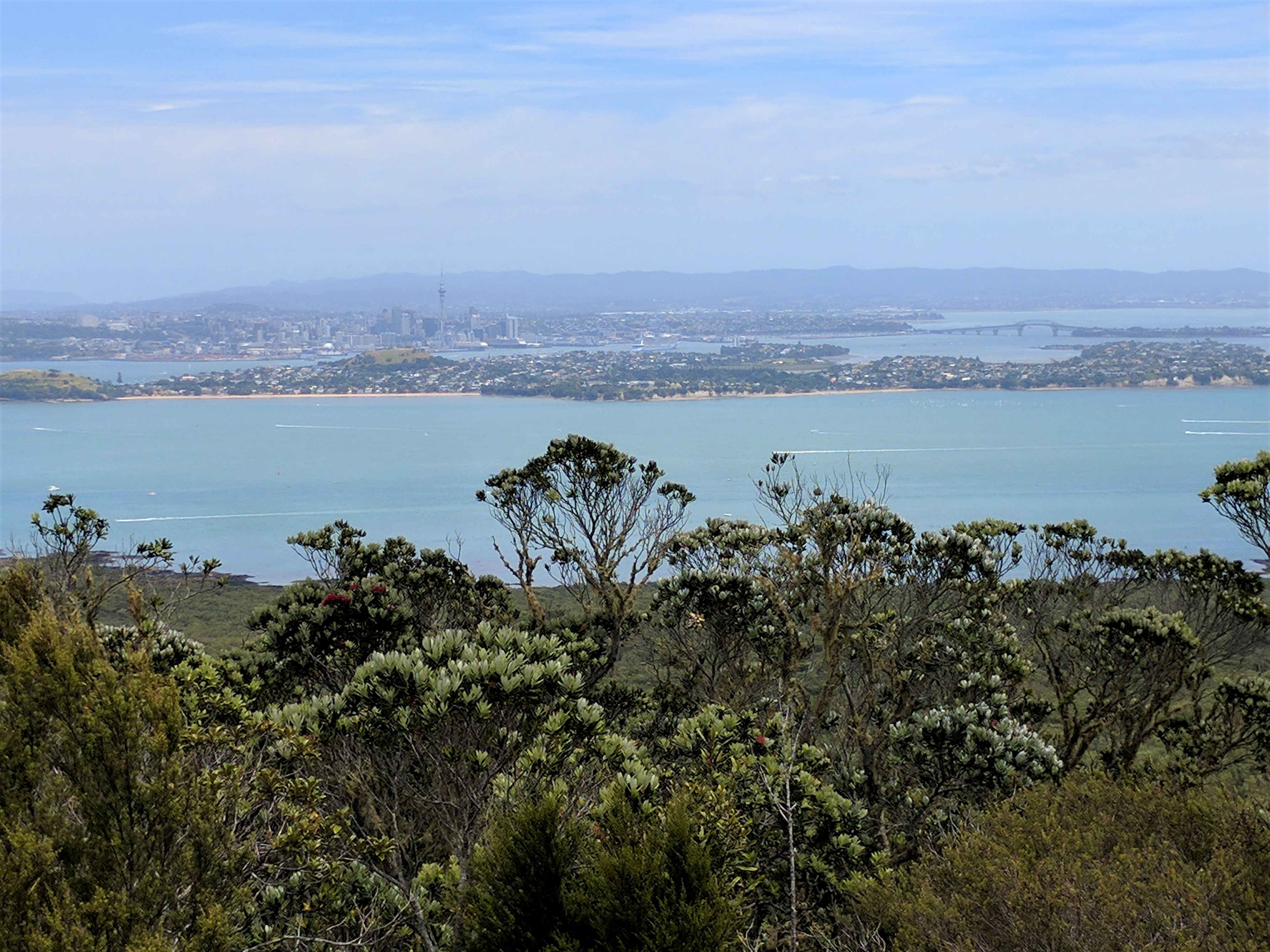 rangitoto harbor view 2 – Working While Wandering